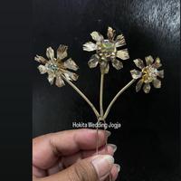 Gambar 1Biji Mentul Anak Cabang 3 Kelapa/Mentul Anak/Kembang goyang Anak Kelapa - KELAPA dari HOKITA WEDDING JOGJA_NEW undefined 2 Tokopedia