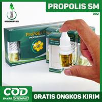 Gambar Propolis SM Untuk Amandel - Propolis Murni 100% Propolis Brazil Asli BPOM RI Halal MUI - Kemasan Botol Plastik 6ml Original Toko Herbal Melayu Deli dari Herbal Melayu Deli ID undefined 2 Tokopedia