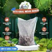 Gambar Budyaak Batu Koral Merah Maron 10kg Varian Baru untuk Taman Pot Bunga Aquarium Aquascape Dekorasi Rumah Kupang NTT - MIN 18 dari SuryaBaruStone undefined 1 Tokopedia