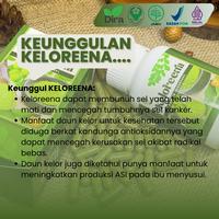 Gambar Keloreena Herbal Mengatasi Liver Perut Bengkak Keras, Kembung, Begah, Asites, Pembengkakan Hati, Limpa, Sirosis Hati Berlemak, Penumpukan Cairan 100% Ekstrak Daun Kelor Asli Original Tanpa Efek Samping - isi 50 kapsul dari Metamorph Herbal undefined 4 Tokopedia
