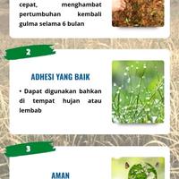 Gambar (Beli 1 Geratis 1)_Bubuk herbisida Pembunuh Pohon Besar untuk menghancurkan pohon besar dan gulma dari KKHamer.1 undefined 3 Tokopedia