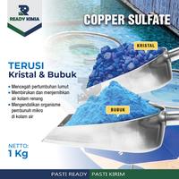 Gambar Terusi / Copper Sulfat Sulfate Sulphate 1KG 1 KG pembiru air kolam - BONGKAH dari Ready Kimia undefined 2 Tokopedia