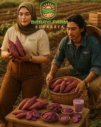 Gambar ubi ketela telo ungu lokal 500 gr / 1 kg - 250 gram dari Babay Farm Surabaya undefined 1 Tokopedia