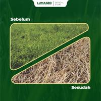 Gambar Herbisida Gempur 480SL 500ml IPA Glifosat Pengendali Rumput Liar Berbagai Jenis Gulma dari Lumagro undefined 5 Tokopedia