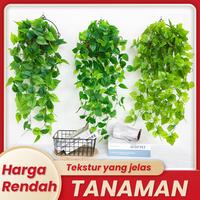 Gambar 【Harga Grosir】Daun Rambat Sulur Palsu Ivy Anggur Semangka Dekorasi Juntai Gantung Rumput Dinding Bunga Plastik Tanaman tanaman hias gantung daun hias hanging tree - Daun Anggur (90cm), Beli 1 dapatkan 1 gratis (2 pcs) dari GPM HOME LIVING_NEW undefined 1 Tokopedia