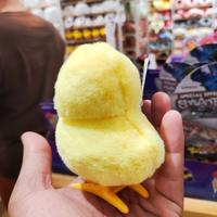 Gambar Miniso Mainan Anak Ayam Lucu Bisa Bergerak - Hopping Chick dari SERGIO FADJAR FSAI undefined 5 Tokopedia