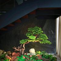 Gambar Taman Artificial dengan Pohon Bonsai dan Batu Alam Taman Artificial dari Landscape green leaf undefined 2 Tokopedia