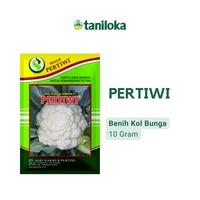 Gambar Benih Pertiwi - Benih Kol Bunga Hibrida F1 PERTIWI (10 Gram) dari TANILOKA JAYARAYA NUSANTARA undefined 1 Tokopedia