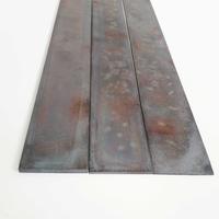 Gambar BESI BAJA KARBON 440C TEBAL 3 MM - CARBON STEEL - UNQUENCHED - UNHARDEN - BELUM SEPUH - ENIGMAZONE - 3 x 100 mm, 30 CM dari Enigma Zone undefined 4 Tokopedia