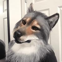 Gambar Realistic Wolf Head Animal Mask Halloween Horror Head Cover With Hair Stage Play Werewolf Costume Mask Role Playing Props dari peueheggw undefined 3 Tokopedia
