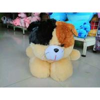 Gambar Boneka kucing Jumbo tidur peluk boneka kucing Jumbo Dolls Toys dari Boneka Laris84 undefined 5 Tokopedia
