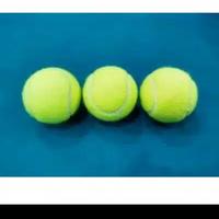 Gambar BOLA TENIS Coach Tennis Ball / KASTI MURAH MEMBAL NASSAU /INNI / POLOS CHAMPION HARGA GROSIR dari LAURENSIUS STANLEY undefined 1 Tokopedia