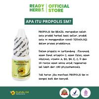 Gambar Propolis SM Untuk Cantengan Jempol Kaki / Tangan, Infeksi Jamur Kuku, Kuku Bengkak Bernanah, Rusak Dan Busuk dari Ready Herb TV undefined 3 Tokopedia