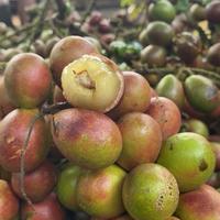 Gambar Matoa fresh petik 2 kg asli dari pati jawa tengah dari Toko sumber rejeki01 undefined 1 Tokopedia