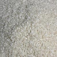Gambar beras kampung putih enak pulen kemasan 5 kg - 5 kg dari TOKO BERAS SYIFA undefined 1 Tokopedia