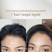 Gambar [SHAMPOO] Miss Daisy Rose & Oud | Anti Ketombe | Rontok | Lepek | Berminyak | French Perfume Shampoo | BPOM | Gentle Shampoo dari Miss Daisy Indonesia undefined 3 Tokopedia