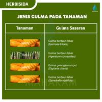 Gambar Mahakam TIGATOP 200/70/30 OD 500 ML - Pengendali Gulma Pada Tanaman Jagung dari Mahakam Agro undefined 4 Tokopedia