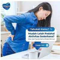 Gambar Keonik Shop | COLLAGENA Susu Steril Kolagen 189ml FREE Container BOX (6 kaleng+CONTAINER BOX) dari Hoki D Shop undefined 4 Tokopedia