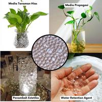 Gambar Hydrogel Transparan - Media Tanam Hidroponik Tanaman Hias Warna Transparan atau Toping Media dari workplant.id undefined 4 Tokopedia