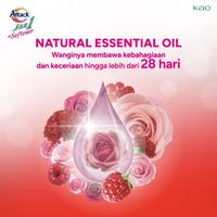 Gambar Attack Jaz1 Japanese Rose Berry 700g Triplepack - Deterjen Cair + Softener Sabun Cuci Baju dari KAO Indonesia undefined 4 Tokopedia