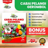 Gambar Bibit Benih Cabai Pelangi Grombol - Kualitas Premium (Bonus Benih Random) dari TOPBENIH undefined 1 Tokopedia
