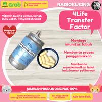 Gambar Vitamin Kucing Sakit Gemuk Sehat Bulu Lebat TF Tri Formula dari RADIO KUCING undefined 1 Tokopedia