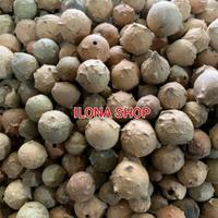 Gambar Buah Manjakani Hijau Asli 500 Gram/Buah Majakani Majakane Kering Kualitas Super Kiloan 500Gr dari Ilona Shop Surabaya undefined 3 Tokopedia