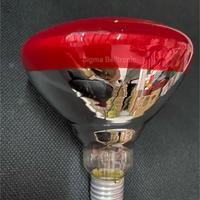 Gambar Lampu infrared fisiotherapi 100w / 150w terapi panas infra red therapy - 100 watt dari Sigma solo undefined 2 Tokopedia