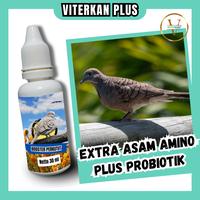 Gambar Vitamin Burung Perkutut Biar Cepet Gacor Rajin Manggung Bantu Atasi Suara Macet 30 Ml Viterkan Plus dari Viterkan Plus undefined 3 Tokopedia