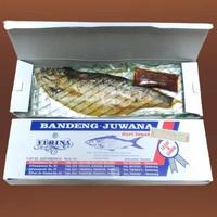 Gambar Ikan Bandeng Presto Juwana Duri Lunak Bandeng Juwana Erlina Semarang Terlaris dari idulmuastore undefined 5 Tokopedia