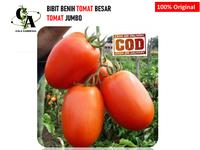 Gambar Tomat Jumbo Tomat Besar Bibit Tomat Besar 5 Biji Jumbo Benih Tomat Buah Tomat Berkualitas dari Cala Gardenia2 undefined 4 Tokopedia