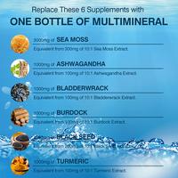 Gambar Sea Moss, Black Seed Oil, Ashwagandha & Burdock Root - for Immune System Skin Energy Support dari Tincelll undefined 3 Tokopedia