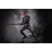Gambar HOT TOYS TMS115 KAMEN RIDER BLACK SUN 1/6TH COLLECTION EXCLUSIVE 61595 dari MULTI TOYS undefined 2 Tokopedia