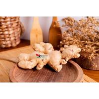 Gambar Jahe segar 250 Gram Inagreen Fam Bandung dari INAGREEN INDONESIA undefined 3 Tokopedia