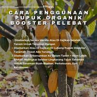 Gambar Pupuk Kakao Cepat Berbuah Lebat Booster Pelebat Kakao Pupuk organik Buah Kakao Berbuah lebat dari Berkahjaya.Laris undefined 5 Tokopedia