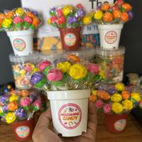 Gambar NGGRAMING CANDY pot bunga viral 20/pack Permen Food dari nggraming snack undefined 1 Tokopedia
