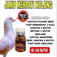 Gambar TERLARIS!! 50 BUTIR JAMU MERPATI JMK kolong los dor pool turun door dari PAKAR BURUNG undefined 5 Tokopedia
