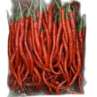 Gambar Campur Cmk cabe merah keriting & cabe rawit kemasan 1kg Cabai dari Sumber Berkah Cabe Blitar undefined 2 Tokopedia
