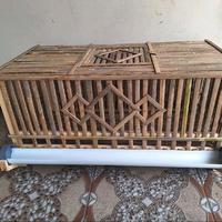 Gambar Kandang Pembesaran Ayam dari Bambu dari Kandang Solo undefined 4 Tokopedia
