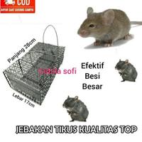 Gambar [SALE] PERANGKAP TIKUS BESI / JEBAKAN TIKUS / PERANGKAP MUSANG dari Renisetianistore undefined 3 Tokopedia