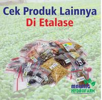 Gambar Benih Jagung Pulut Putih Unggulan ketan berkualitas biji bibit hydroponik hidroponik tanaman pot tanah dari Malang Hydrofarm undefined 5 Tokopedia