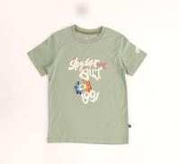 Gambar Spyderbilt Kaos Lengan Pendek Anak Anak Stracom Tencel Kids Tee Planet Surf - ARMY GREEN, XS dari danelmoll undefined 1 Tokopedia