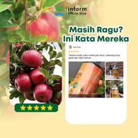 Gambar INFARM - Pupuk Infarm Pelebat Buah Mangga Pupuk Buah Mangga Lebat POC Kompos Infarm Pupuk Organik Cair POC Kompos Cair Penyubur Tanaman Buah & Bunga Anti Rontok Melebatkan Daun Menutrisi Media Tanam Memperbanyak Bunga & Buah dari Infarm undefined 5 Tokopedia