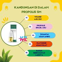 Gambar BEST SELLER Propolis Untuk Xanthelasma Penghilang Gumpalan Lemak di Kelopak Mata Salep Milia Bintik Di Dekat Mata Herbal dengan Aman Halal BPOM dari Nature Healty undefined 4 Tokopedia