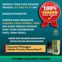 Gambar cat and fit x1 ultimate obat kutu jamur scabies kucing ampuh aman dari vitamin dan obat kucing undefined 5 Tokopedia