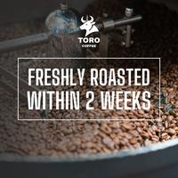Gambar Kopi Robusta Lampung Premium Gold by Toro Coffee / Robusta Petik Merah - Biji Sangrai, 100 gram dari Toro Roastery undefined 2 Tokopedia