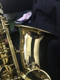 Gambar Saxophone Conn Selmer Prelude dari Markas2nd undefined 1 Tokopedia
