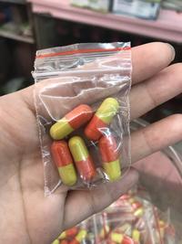 Gambar Kapsul cacing untuk tipus / tyfus / tipes 5 kapsul dari sentosaherbs undefined 2 Tokopedia