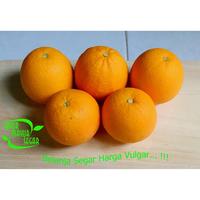 Gambar Jeruk Sunkist Premium Buah segar dan Manis (Grosir / Eceran) dari Sayur Mayur Segar Indonesia undefined 3 Tokopedia