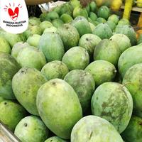 Gambar Mangga harum manis tua pohon ( bukan matang pohon ) Pemalang jatim dari Asan Buah Segar undefined 2 Tokopedia